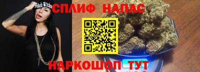 мдпв Моздок