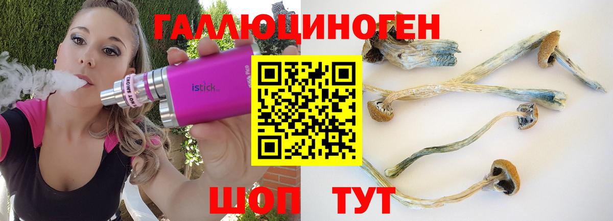 Псилоцибиновые грибы MAGIC MUSHROOMS Тверь